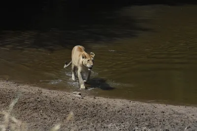 DSC_3651 (Large).JPG